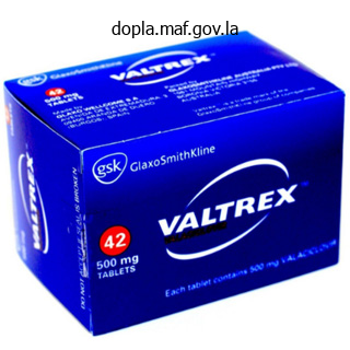 order 500 mg valacyclovir visa